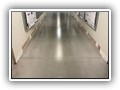 Notice how much brighter the room looks without the dull carpet. The Janitorial staff loves the new clean floors, much easier for them to clean and disinfect. Very little "ghosting " in this section as well.